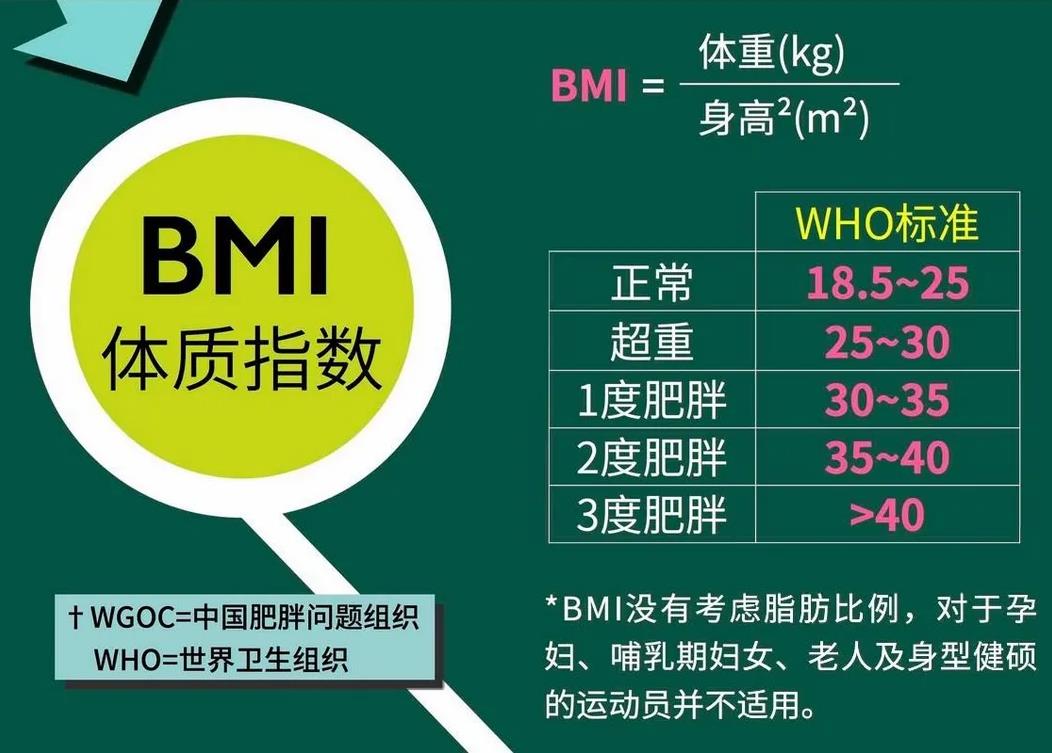 BMI指数计算方式与标准.jpg